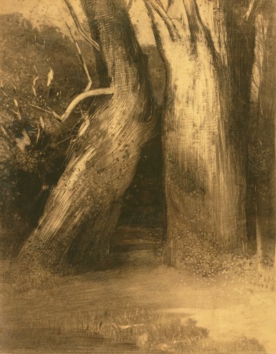 Two Trees, c.1875 by Odilon Redon
